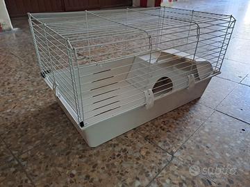 Gabbietta per coniglio nano