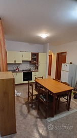 Camere vicino università