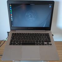 Asus ux310u