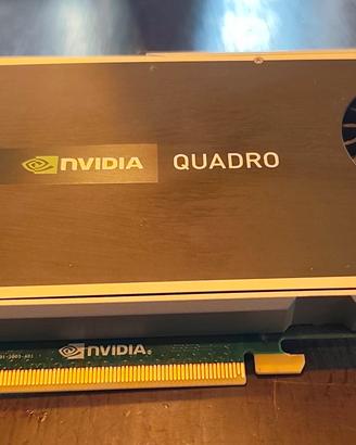 Scheda grafica Quadro 4000