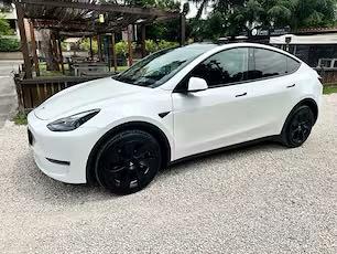 TESLA Model Y RWD