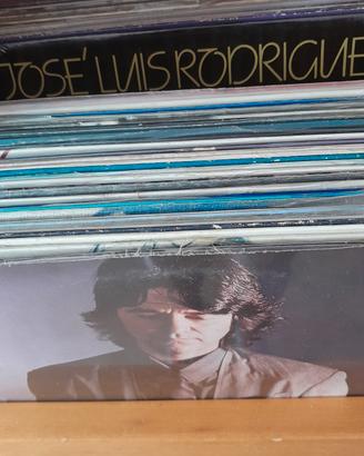 Dischi 33 giri in vinile 