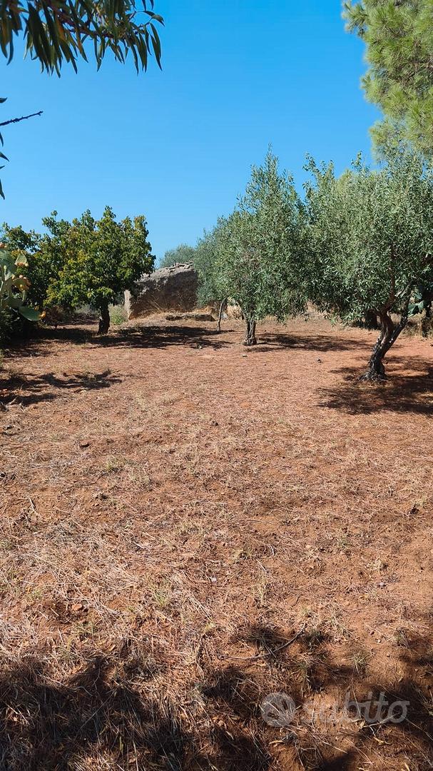 terreno agricolo - Altro