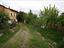 Immagine 8