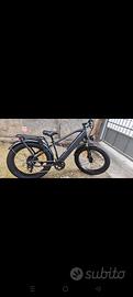 e-bike 