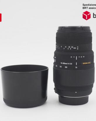 Sigma 70-300 F4-5.6 DG Macro (Nikon)