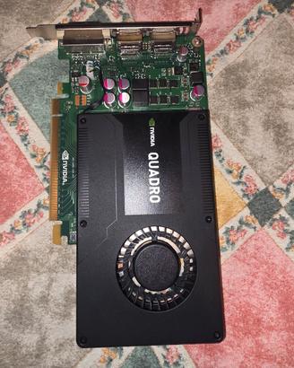 Scheda nvidia Quadro K2000.