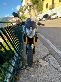 Fz8 2012