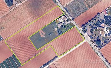 Terreno Edificabile a Marsala