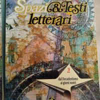spazi e tesi letterari 