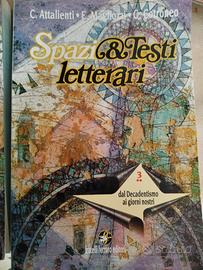 spazi e tesi letterari 