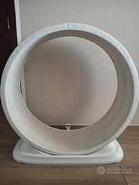 Ruota per gatti