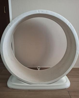 Ruota per gatti