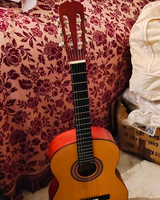 chitarra per principianti 