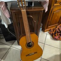 Giannini Guitar chitarra