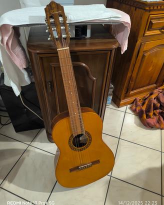 Giannini Guitar chitarra