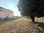 Immagine 9