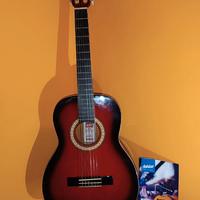 Chitarra acustica Ashton