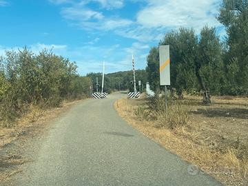 Agro Serdiana