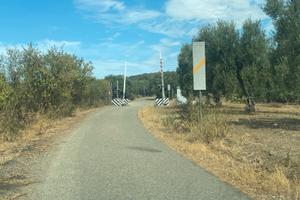 Agro Serdiana