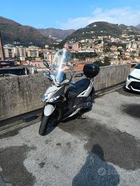 Kymco agility 16+ 125 cc