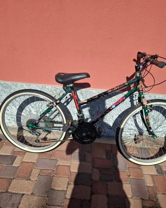 Bicicletta bambino/a 7 anni