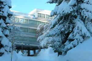 Trentino settimana bianca sulle piste e estate