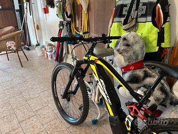 Bicicletta mountain bike