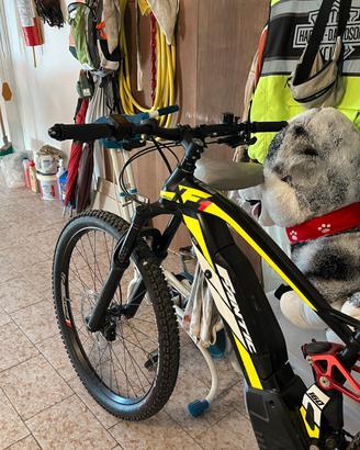 Bicicletta mountain bike