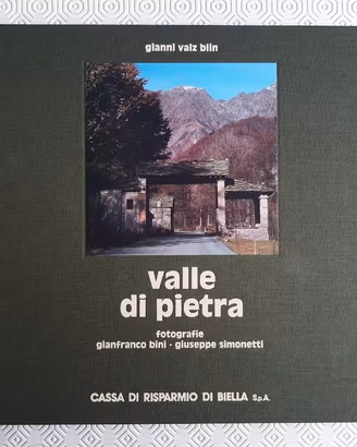 G. Bini: Valle di pietra (Valle Cervo)