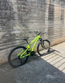 bicicletta
