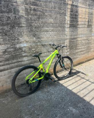 bicicletta