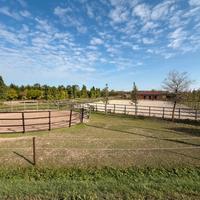 Pensione per cavalli