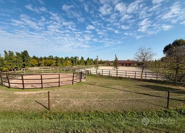 Pensione per cavalli