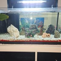 ACQUARIO "TETRA STARTER LINE LED" con pesci e cibo