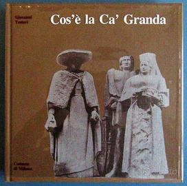 Cos'è la Ca' Granda - Giovanni Testori