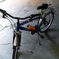 BICICLETTA SILVER STAR