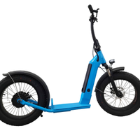 Monopattino elettrico per adulti