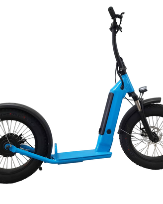 Monopattino elettrico per adulti