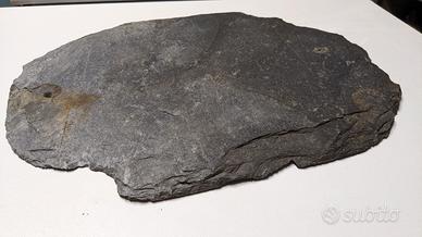 LASTRA PER BOSCHETTO BONSAI