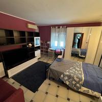 Disponibilità fine maggio