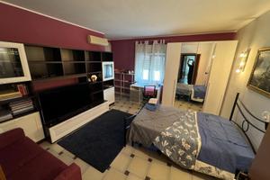 Disponibilità fine maggio