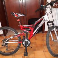 Bici Galant 24