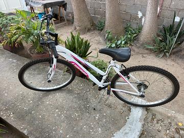 Bicicletta