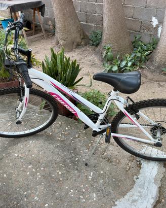 Bicicletta