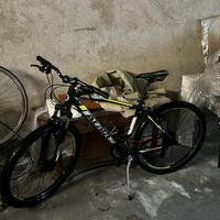 Bicicletta