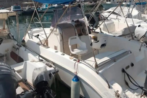 CAD 20 Whalkaround 115 Yamaha