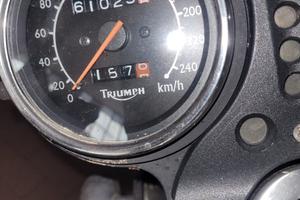 triumph