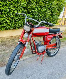 MALAGUTI GAM 24 50cc