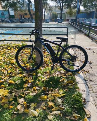 Bici elettrica 250watt Touroll u1